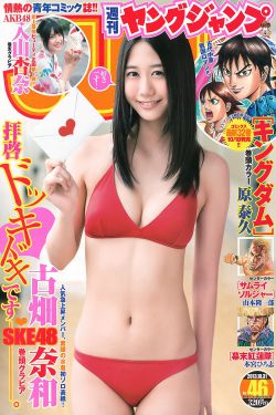 鬼吹灯之黄皮幽冢